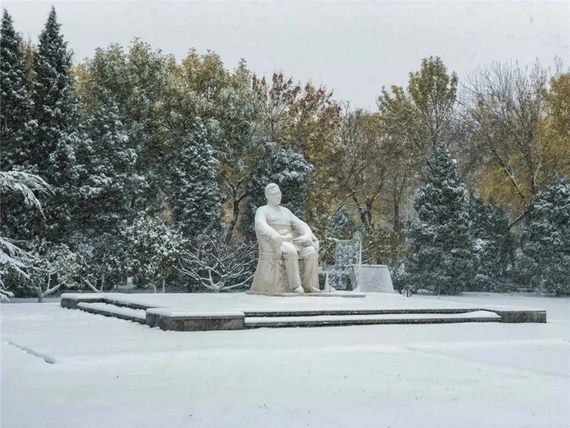 今年这场初雪真是给力咯