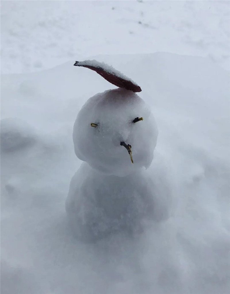 今年这场初雪真是给力咯！