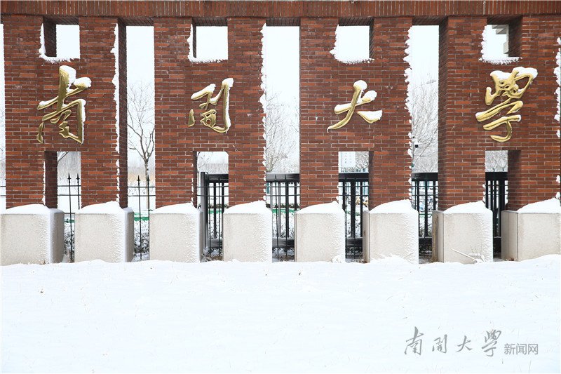 飞雪迎春到