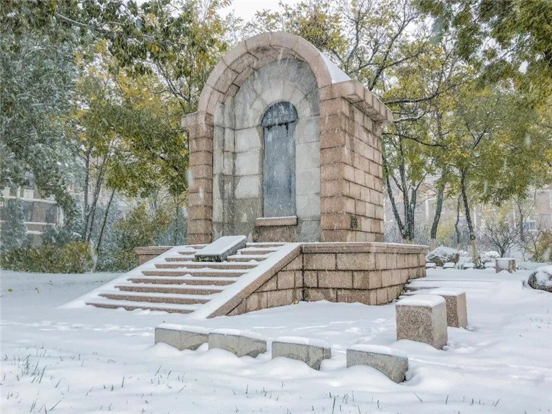 一起看看雪落南开的美景吧