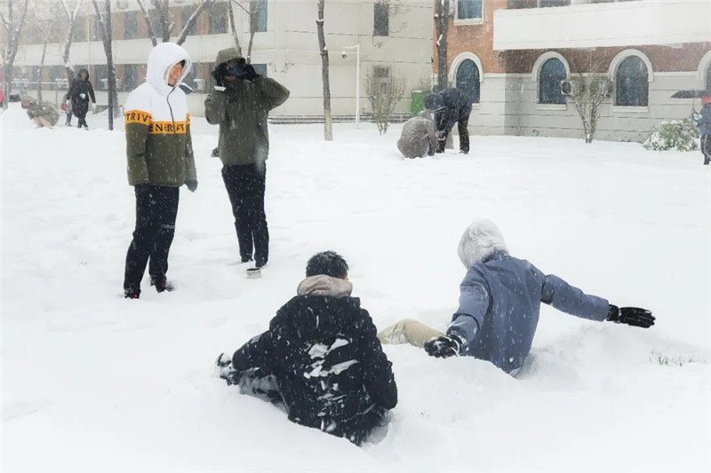 【组图】南开初雪已“到货”，请您“签收”