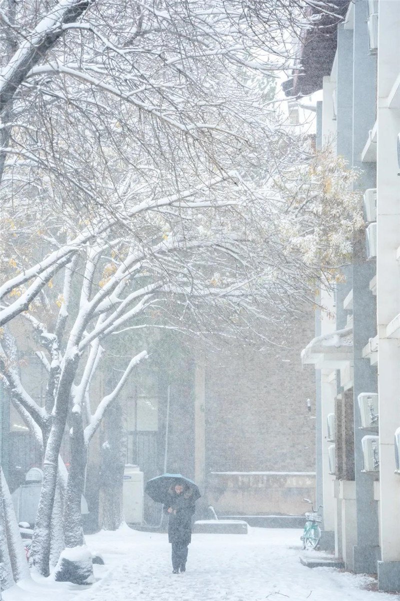 南！开！园！下！大！雪！啦！