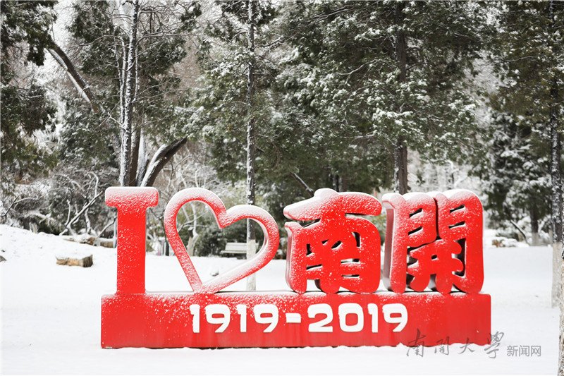 飞雪迎春到
