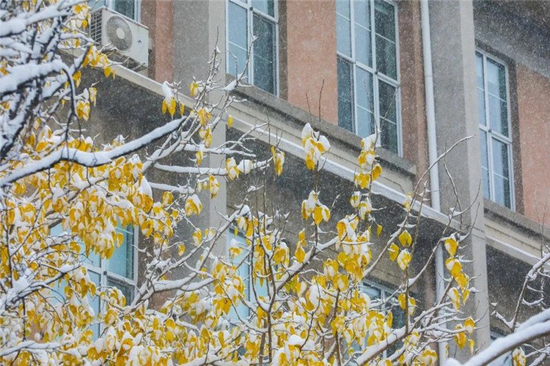 润物无声的雪花们