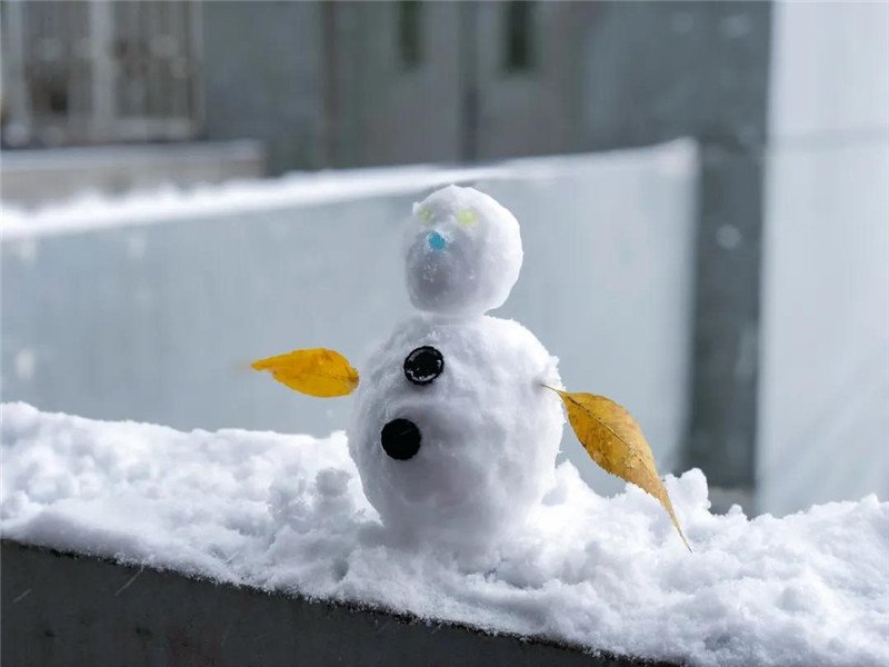 一起看看雪落南开的美景吧！