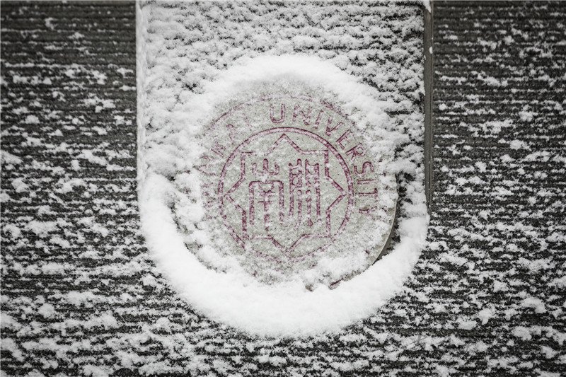 南开园里飘起了雪花儿