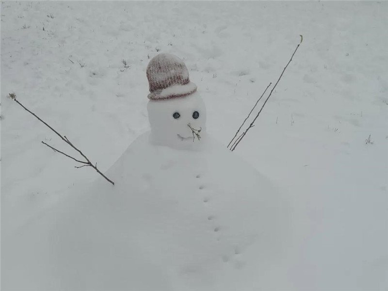 南！开！园！下！大！雪！啦！