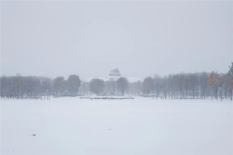【组图】南开初雪已“到货”