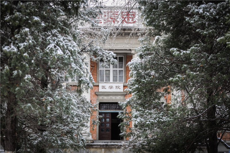 摄影：宗琪琪