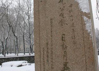 NANKAI UNIVERSITY